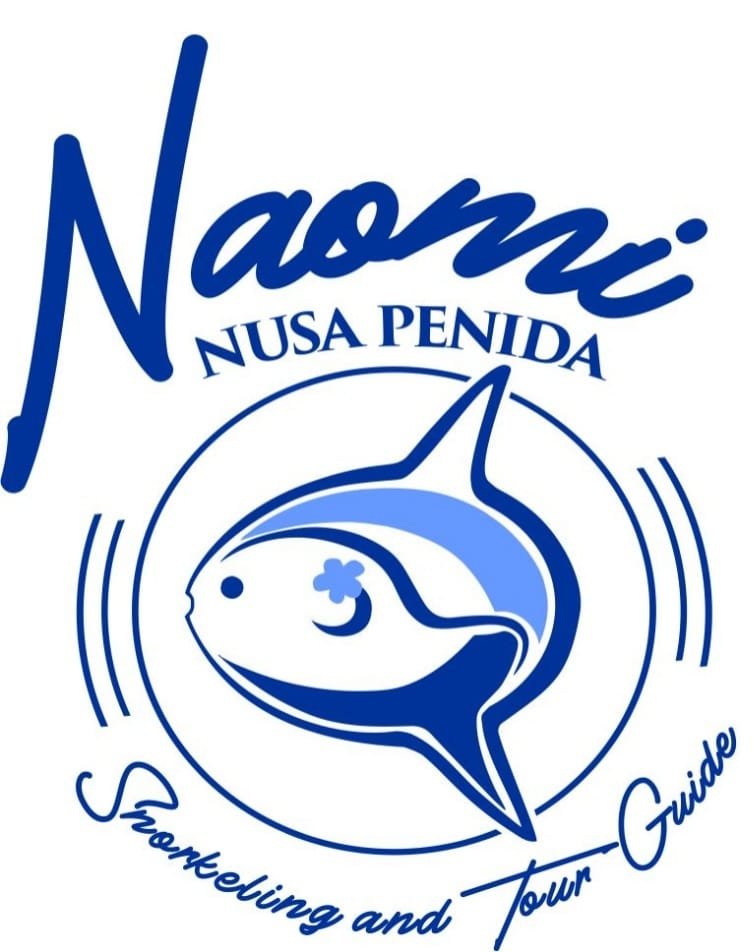 Naominusapenida Logo